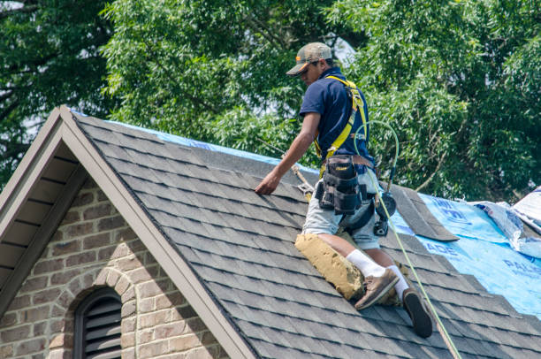 Best Roof Gutter Cleaning  in Perryton, TX